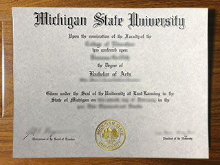 Michigan State University diploma