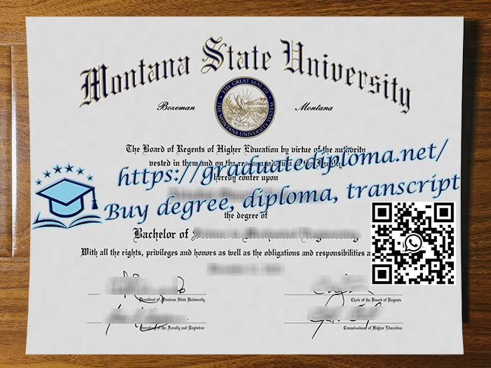 Montana State University degree