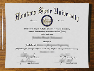 Montana State University diploma