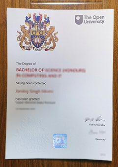 Open University diploma
