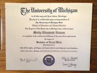 University of Michigan - Flint diploma