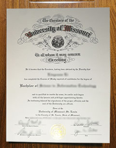 Reasons to earn a University of Missouri–St. Louis diploma online