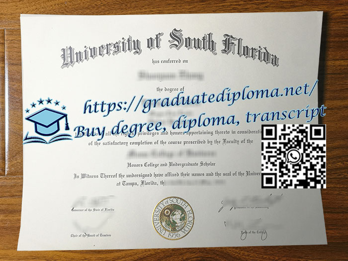 University-of-South-Florida-degree