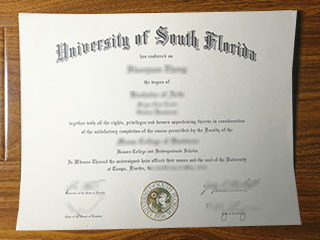 University of South Florida diploma