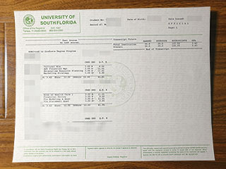 USF official transcript