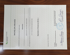 Technical University of Dortmund certificate