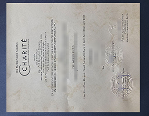Charité Berlin University Medicine Degree
