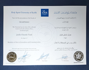 Holy Spirit University of Kaslik degree