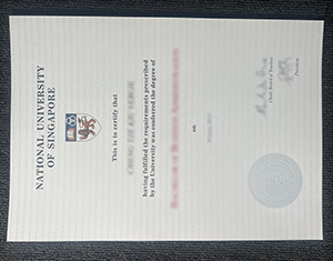 National University Of Singapore diploma