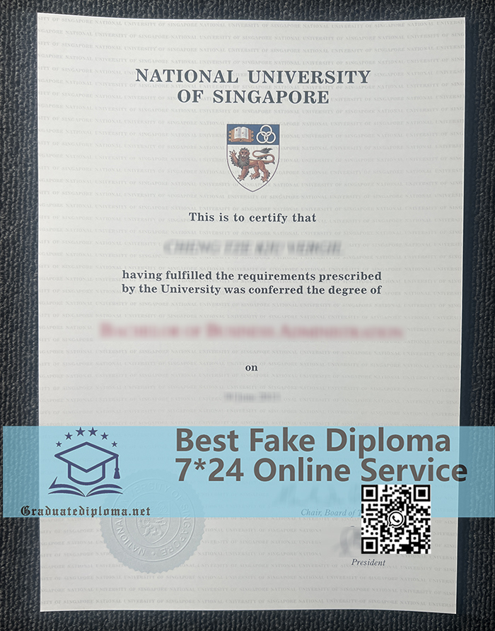 National University Of Singapore diploma