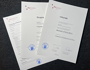 RPTU Diploma and Transcript