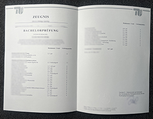 Technische Universität Berlin transcript