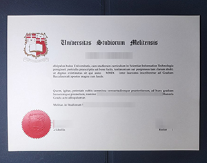 University of Malta diploma