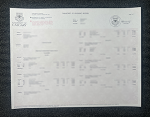 University of Calgary transcript